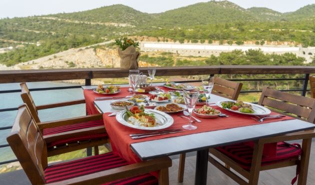 Anatolian Restoran