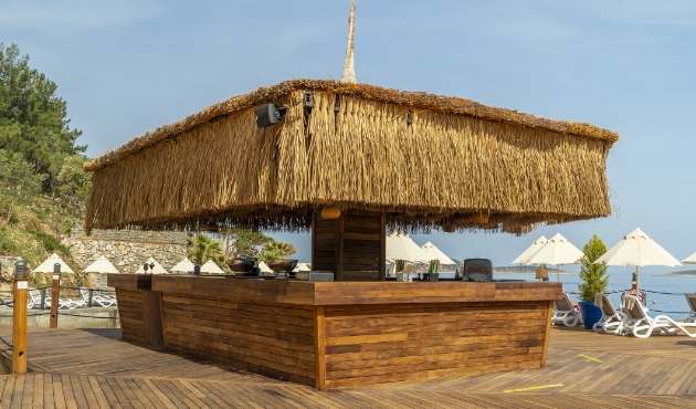 Thetis Bar